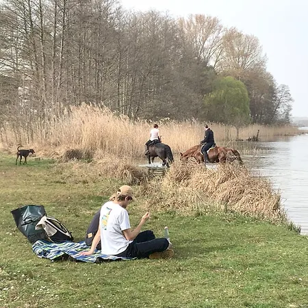 Luxus-oase Mit Seeblick Bad Saarow