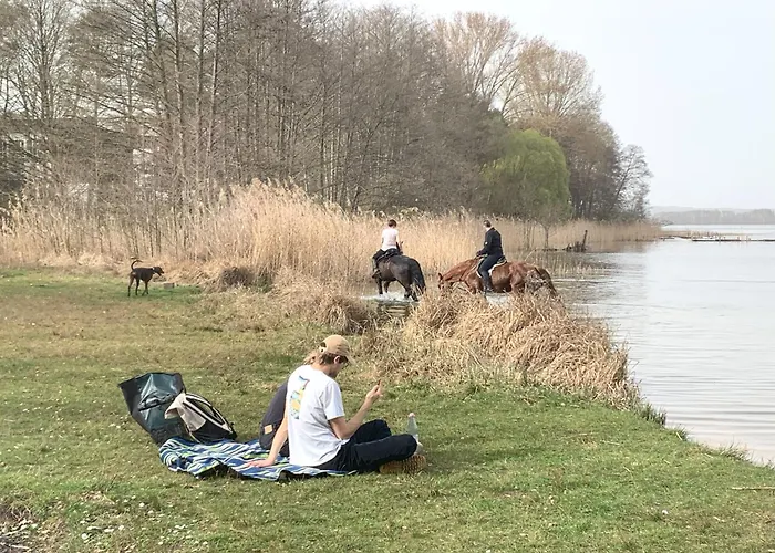 Luxus-oase Mit Seeblick Bad Saarow